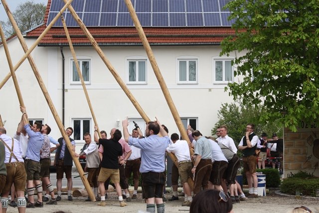 Maibaum 2013